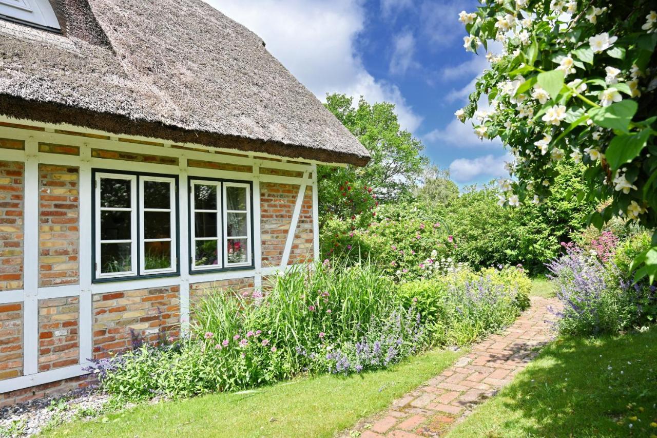 Landhaus Vilmnitz - Wohnung 9 ภายนอก รูปภาพ