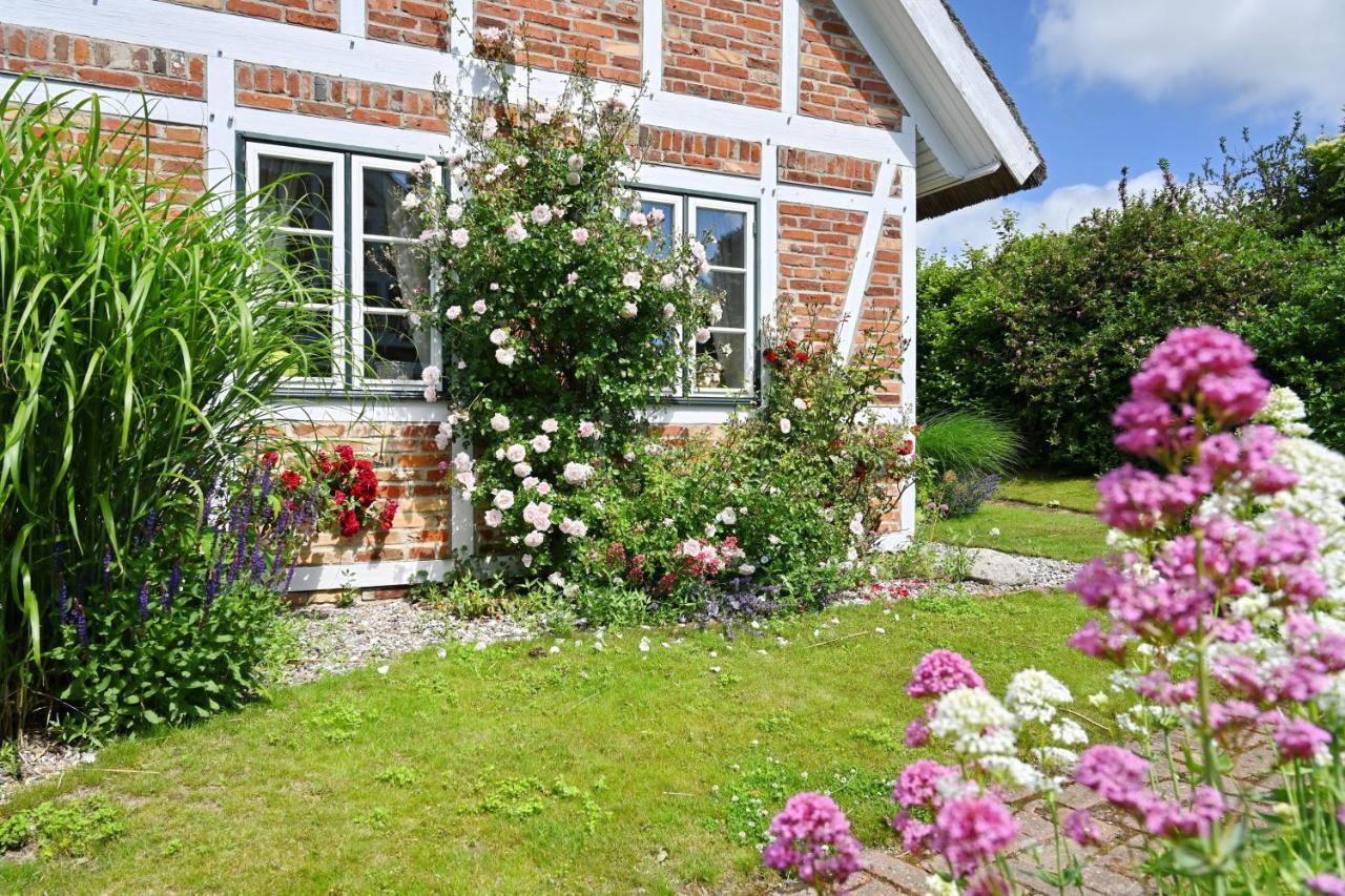 Landhaus Vilmnitz - Wohnung 9 ภายนอก รูปภาพ